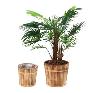relaxdays Pflanzkübel-Set Holz, Ø 24,0/19,0 cm braun, 2 St.