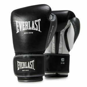 Boxhandschuhe Training mit Klettverschluss Everlast Powerlock OG