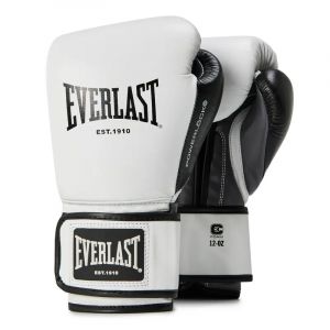 Boxhandschuhe Training mit Klettverschluss Everlast Powerlock OG