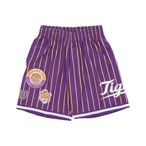 Herren-Basketballshorts NCAA Hometown Mesh Short Loutig Lila