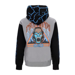 Leichtes Herren-Sweatshirt mit Kapuze, Triangle Gorilla Hoodie, Grau