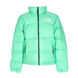 Herren Daunenjacke 1996 Retro Nuptse Chlorophyll Green
