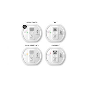 Ei Electronics Kohlenmonoxidmelder Ei208D mit Display, Stand-alone-Gerät, 10-Jahres-Batterie