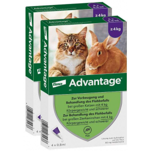Advantage 80 mg für Katzen und Zierkaninchen über 4 kg 8 x 0,8 ml Lösung