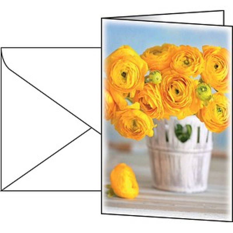 SIGEL Grußkarten Ranunculus DS104 DIN A6, 10 St. – Bild 1 von 3