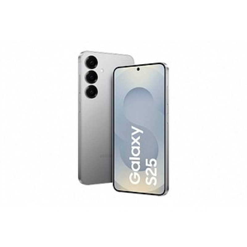 SAMSUNG Galaxy S25 Dual-SIM-Smartphone Silver Shadow 256 GB – Bild 1 von 11