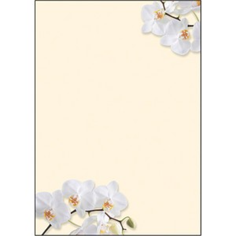 SIGEL Motivpapier White Orchid Motiv DIN A4 90 g/qm 50 Blatt – Bild 1 von 5