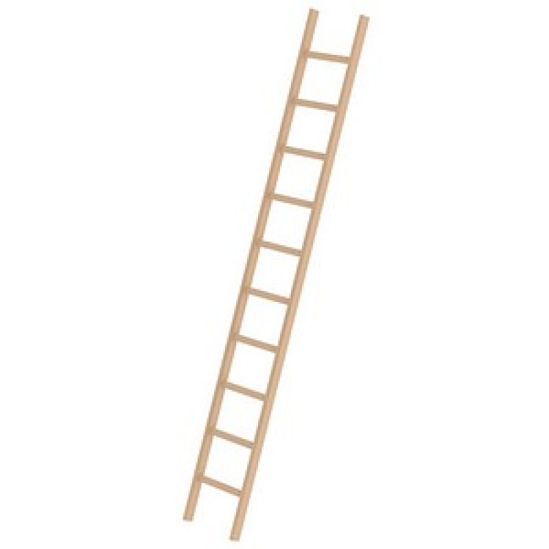 MUNK Anlegeleiter 33110 natur 10 Sprossen, H: 300,0 cm – Bild 1 von 2