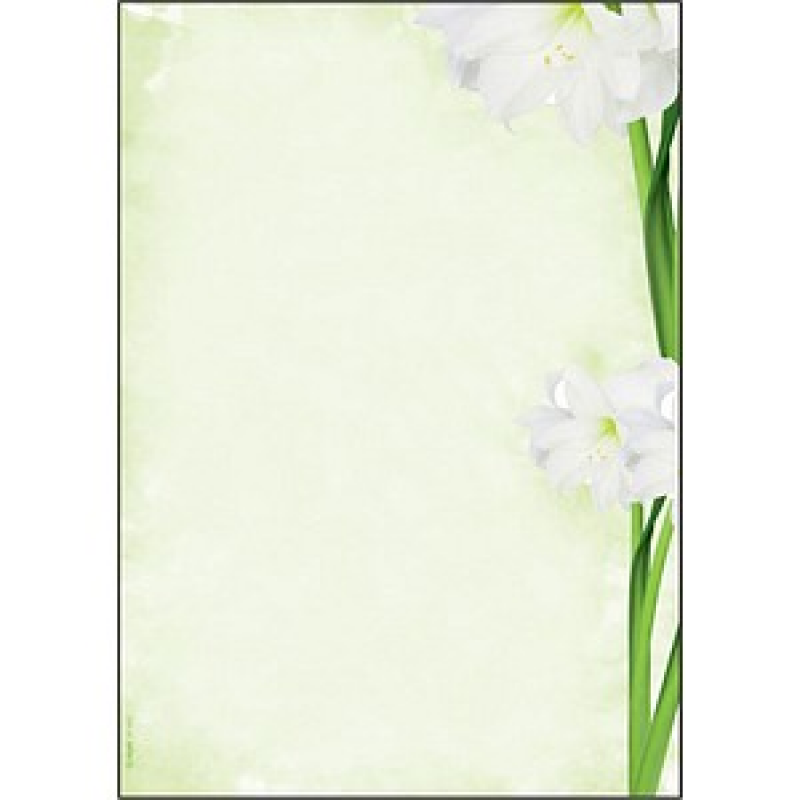 SIGEL Motivpapier Green Flower Motiv DIN A4 90 g/qm 25 Blatt – Bild 1 von 5
