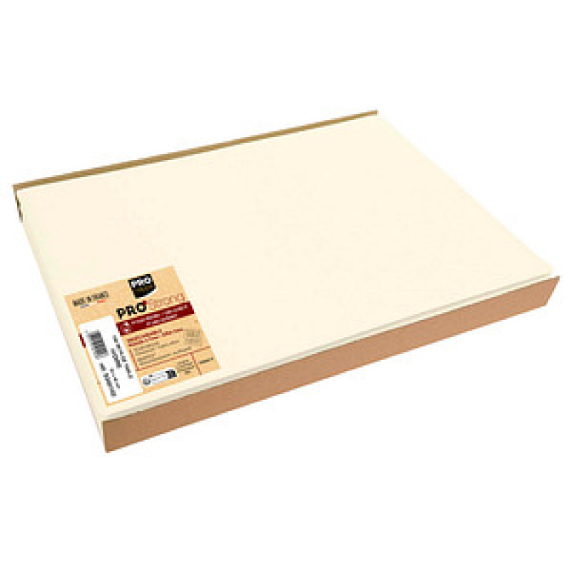 PROnappe Platzsets beige 30,0 x 40,0 cm, 100 St. – Bild 1 von 4