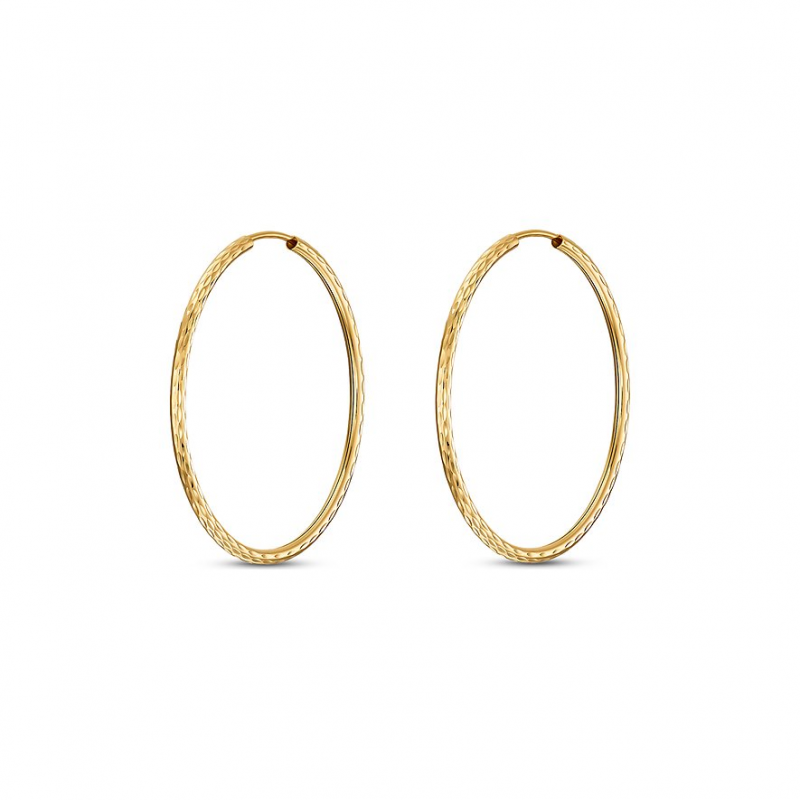 FAVS Creolen 87995658 375er Gelbgold – Bild 1 von 2