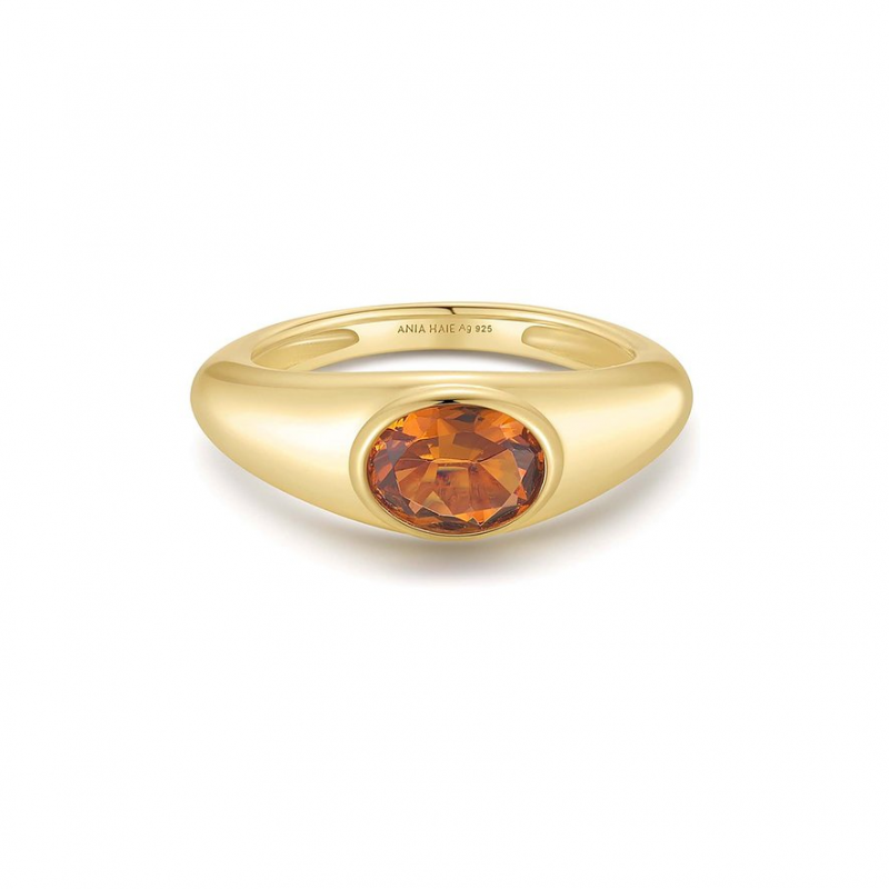 Ania Haie Damenring R066-02G-54 925er Silber – Bild 1 von 2