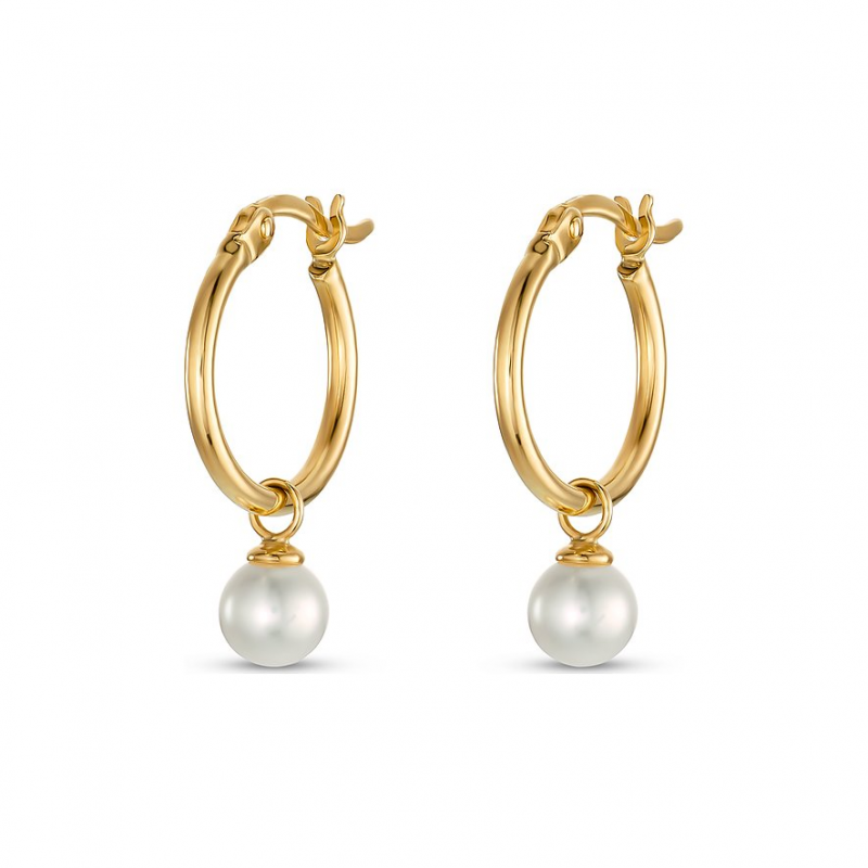 Valeria Creolen 88006429 375er Gelbgold – Bild 1 von 2