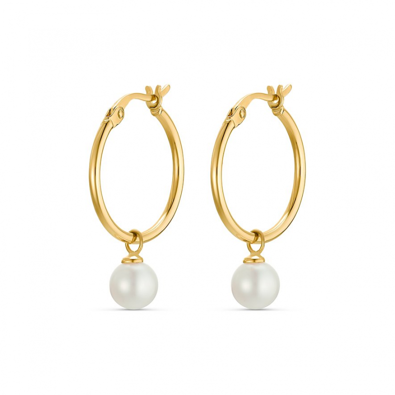 Valeria Creolen 88006437 375er Gelbgold – Bild 1 von 3