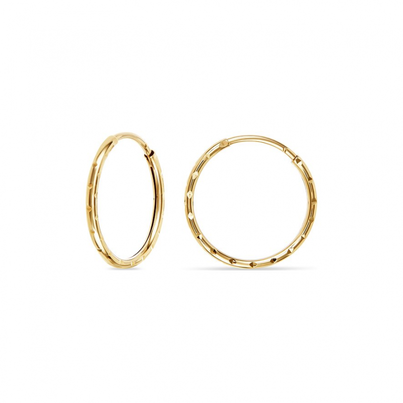 FAVS Creolen 88403223 375er Gelbgold – Bild 1 von 2