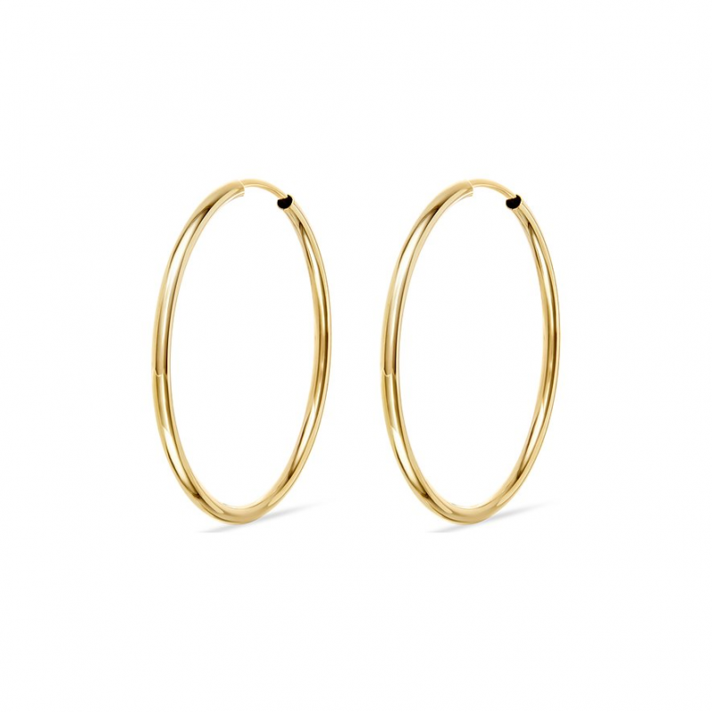 FAVS Creolen 88403363 375er Gelbgold – Bild 1 von 3