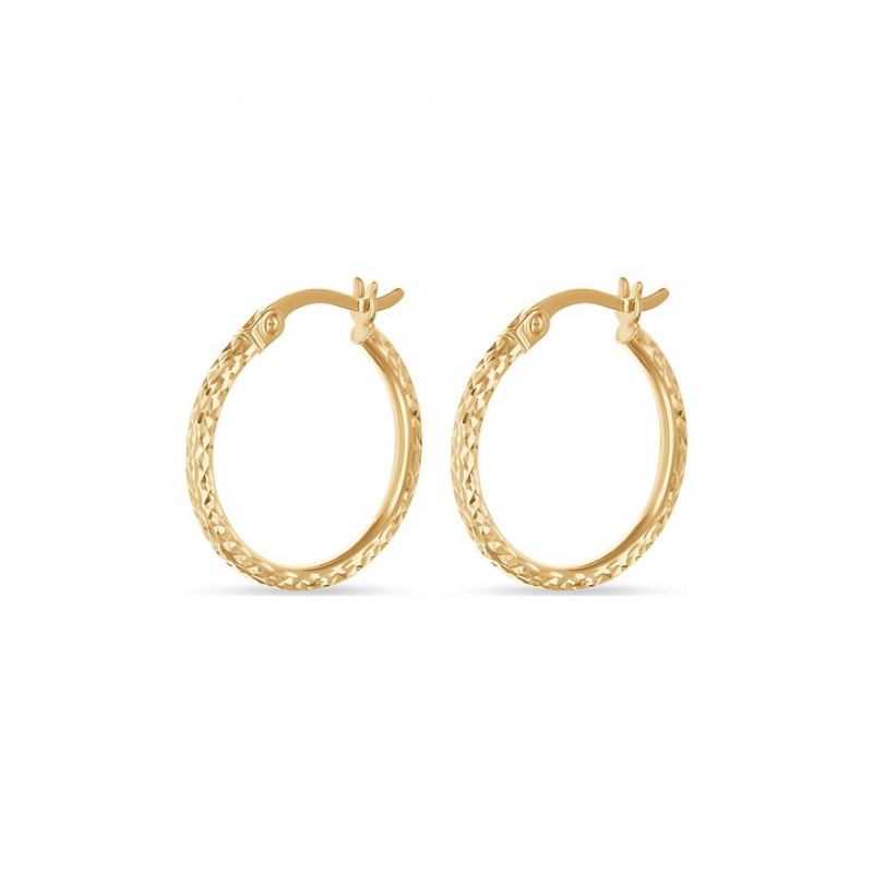 FAVS Creolen 88466551 375er Gelbgold – Bild 1 von 3