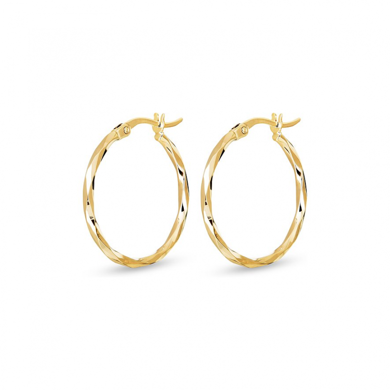 FAVS Creolen 88578163 375er Gelbgold – Bild 1 von 3