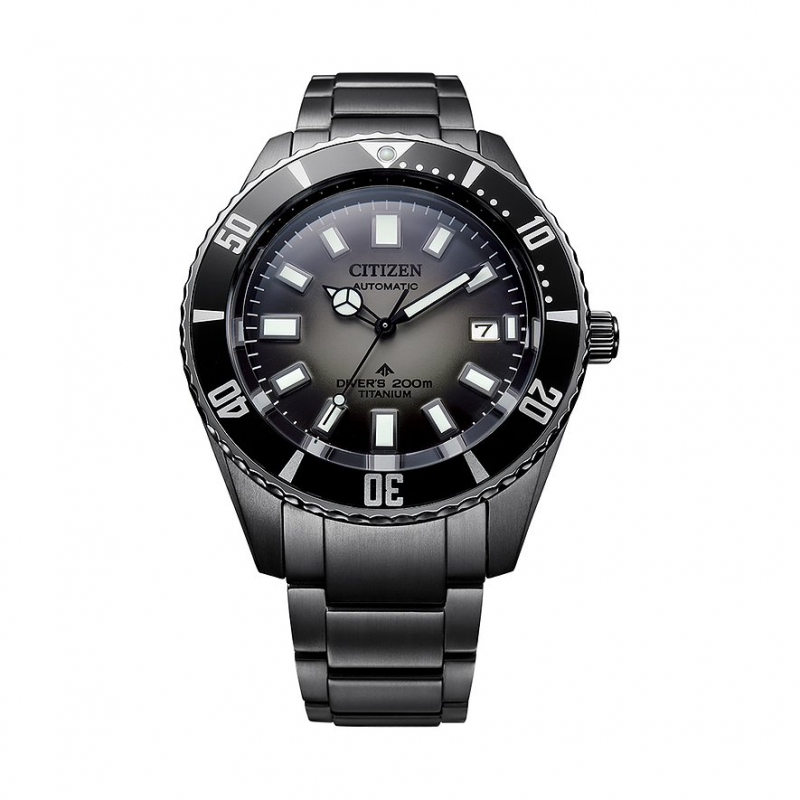 Citizen Herrenuhr Promaster NB6025-59H Titan, Titan