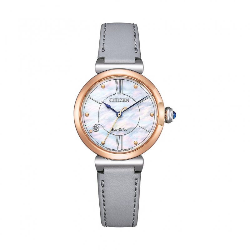 Citizen Damenuhr Elegant EM1074-15D Edelstahl, Edelstahl