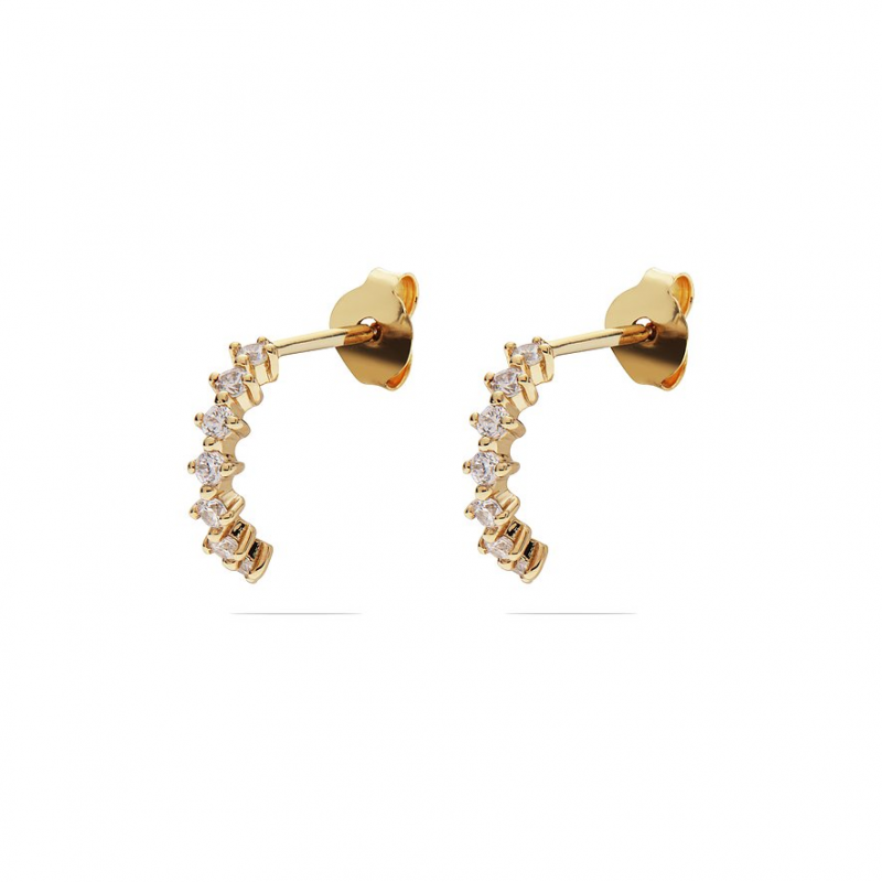 FAVS Creolen 89083575 375er Gelbgold – Bild 1 von 3