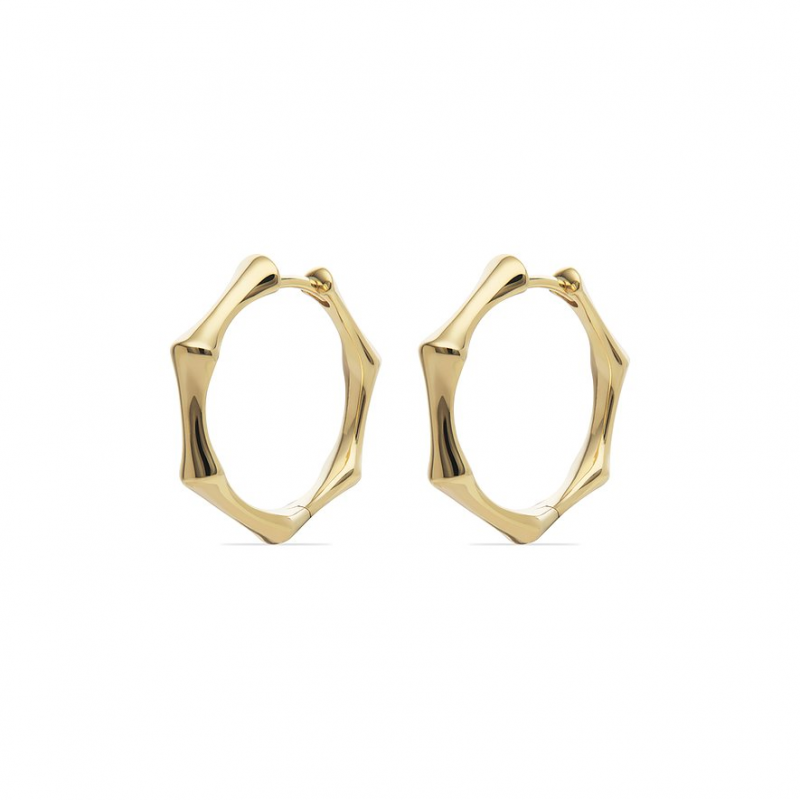 Valeria Creolen 89092469 585er Gelbgold – Bild 1 von 3