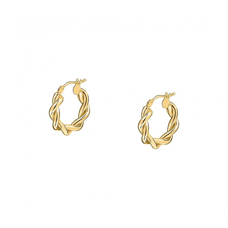 Valeria Creolen 89131481 585er Gelbgold – Bild 1 von 2