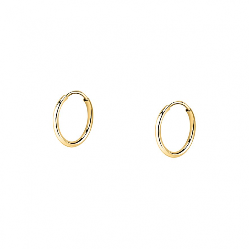 FAVS Creolen 89139961 375er Gelbgold