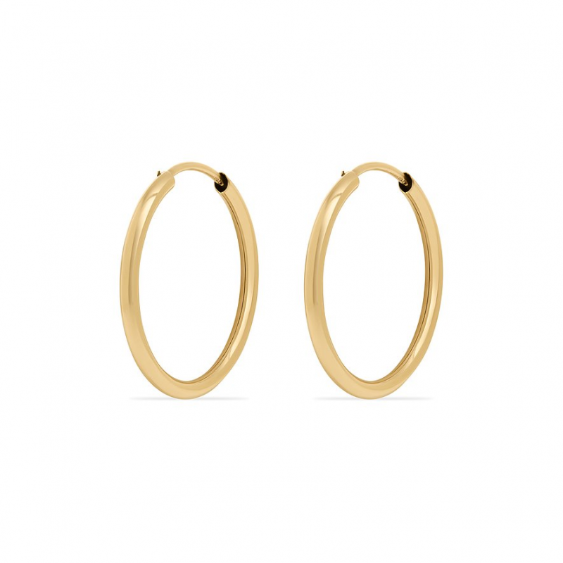 FAVS Creolen 89140013 375er Gelbgold – Bild 1 von 3