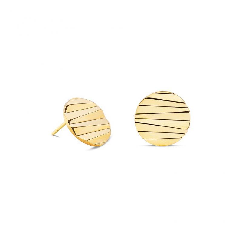 Coeur de Lion Ohrstecker 0143/21-1600 Edelstahl