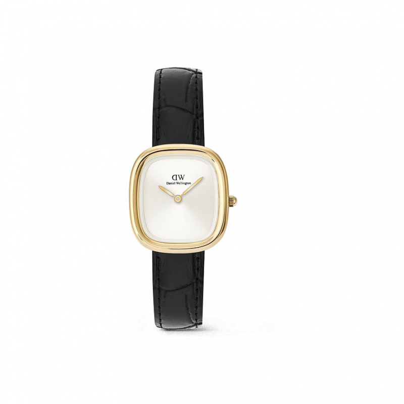 Daniel Wellington Damenuhr DW.DW00100969 Edelstahl