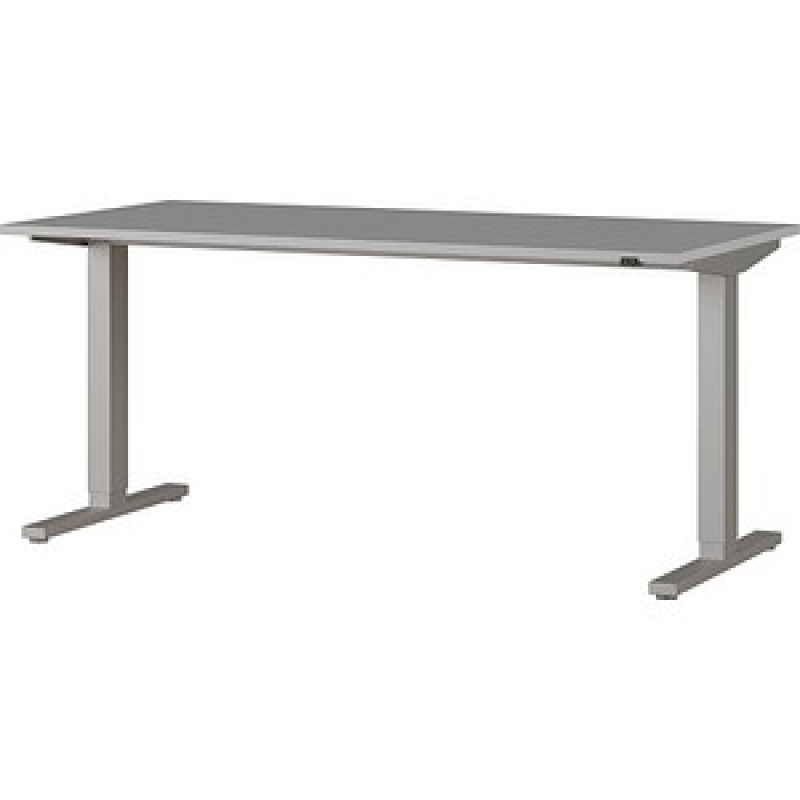 GERMANIA Agenda Office Schreibtisch lichtgrau rechteckig, T-Fuß-Gestell silber 160,0 x 80,0 cm – Bild 1 von 9