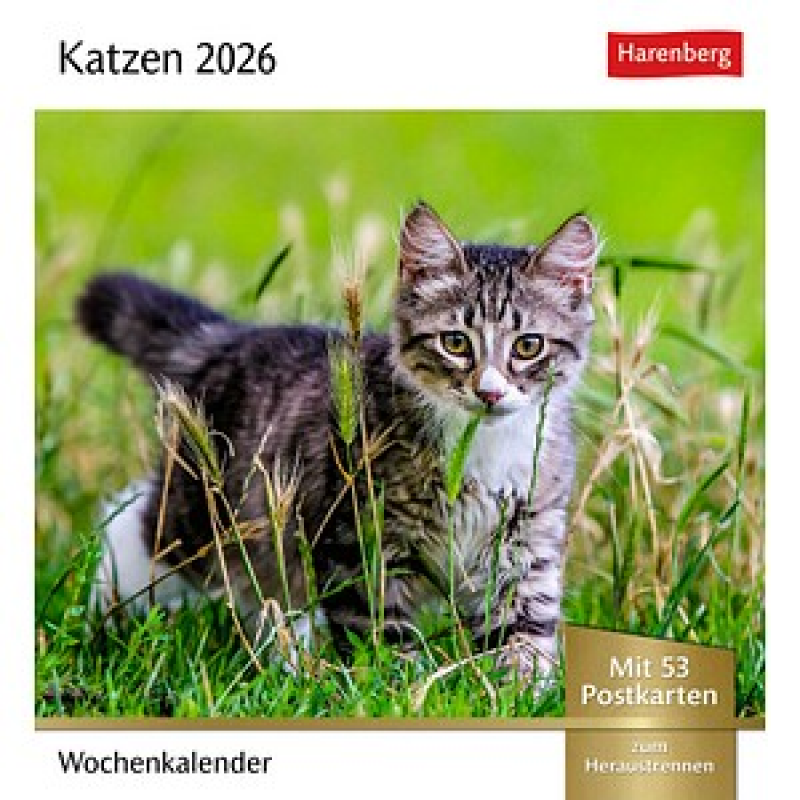 Harenberg Postkartenkalender Katzen 2026, 1 St. – Bild 1 von 11