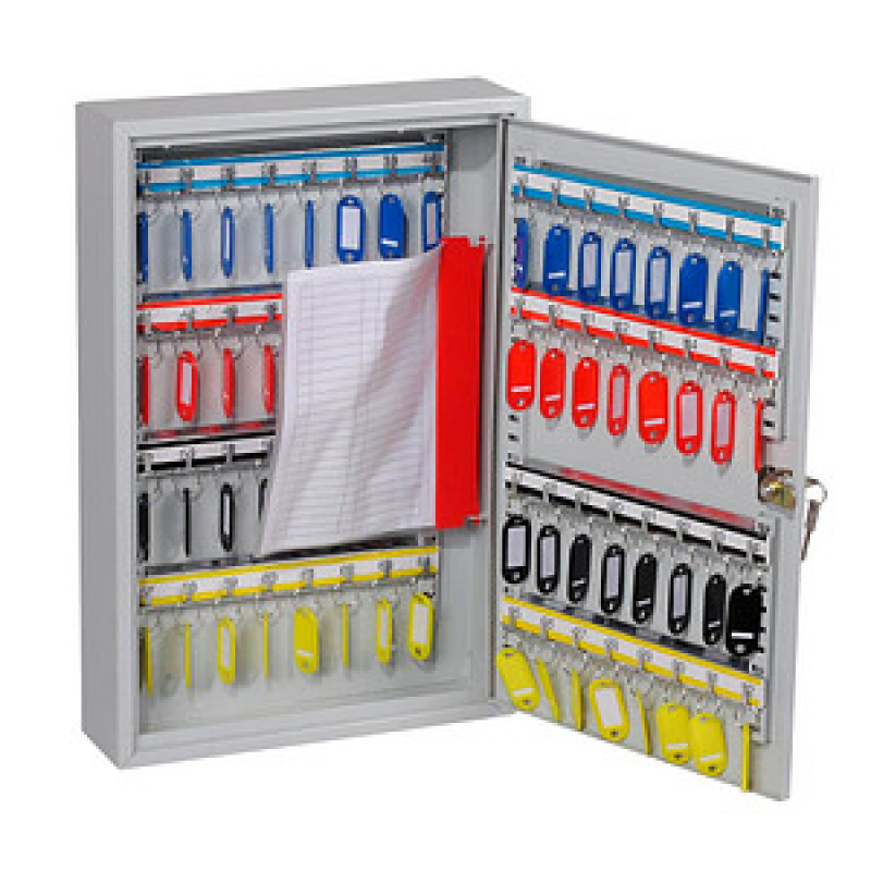 phoenix KC0602K Schlüsselkasten lichtgrau mit 60 Haken, Zylinderschloss, 30,0 x 8,0 x 45,0 cm, 1 St. – Bild 1 von 4