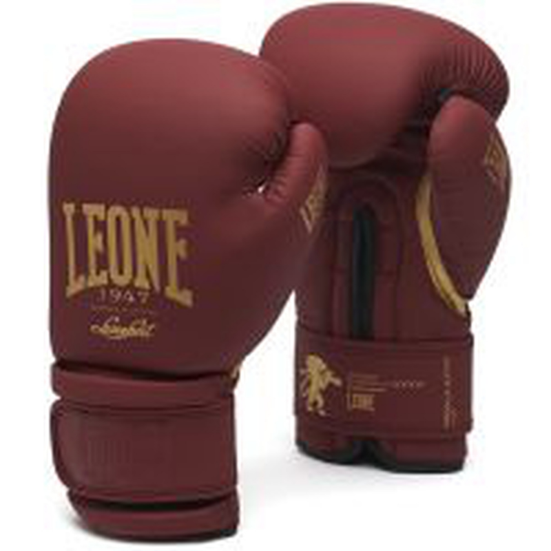 Geschwindigkeitsbirne Leone