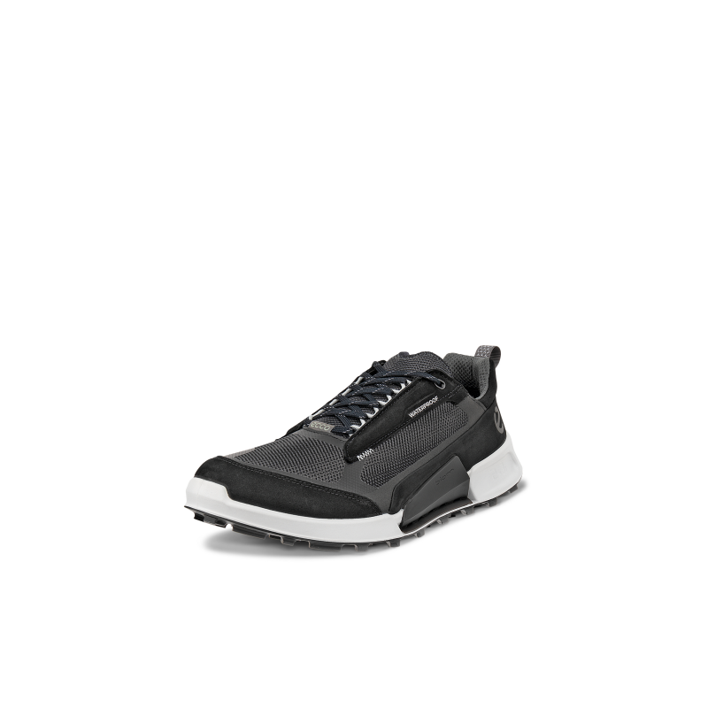 Wanderschuhe Ecco Biom 2.1 X Mountain