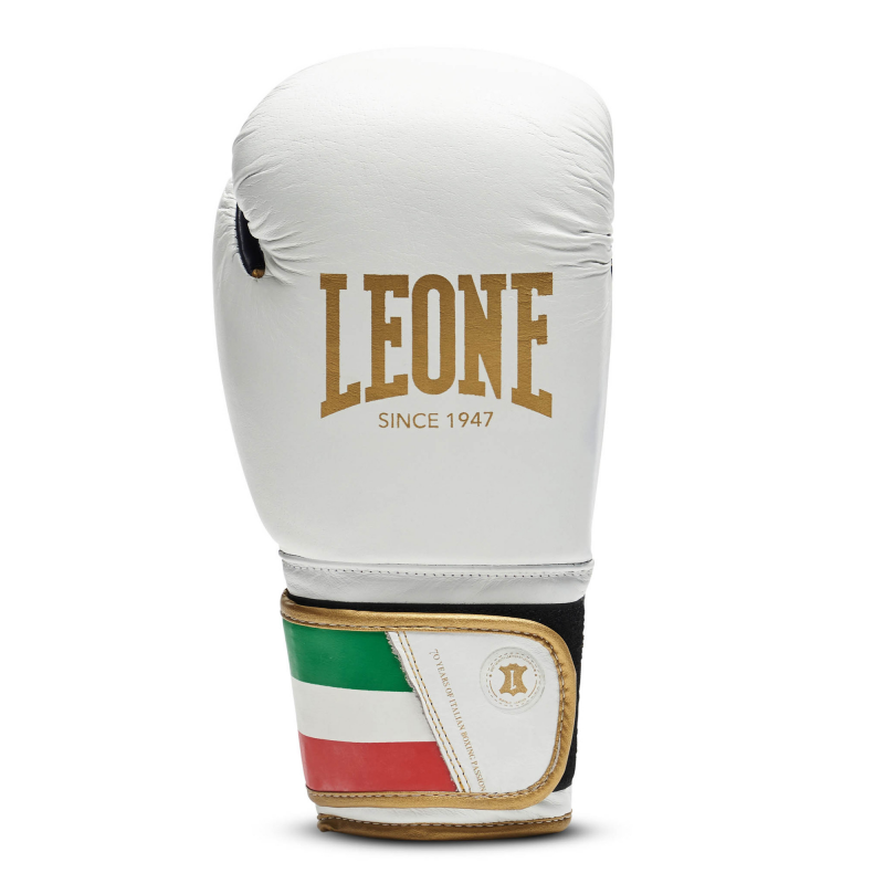 Boxhandschuhe Leone Italy