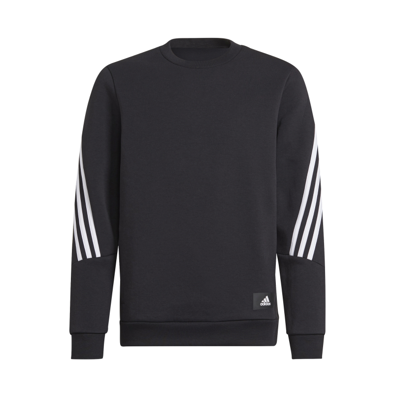 Sweatshirt Kind adidas Future Icons