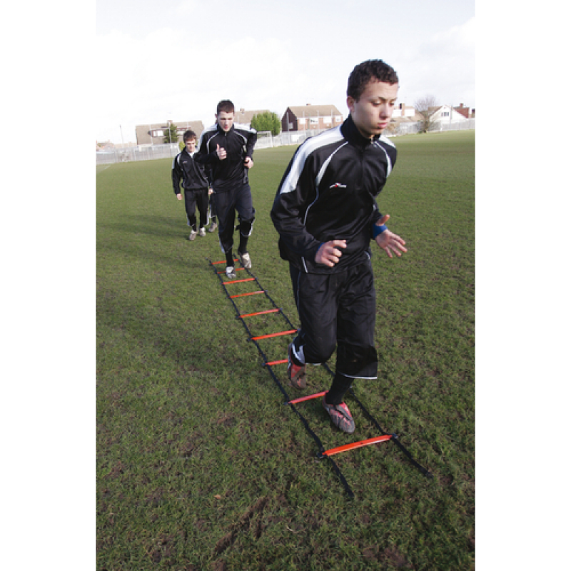 Leiter Precision Speed