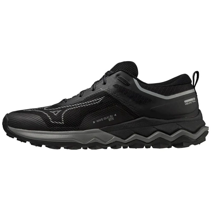 Laufschuhe Mizuno WAVE IBUKI 4 GTX