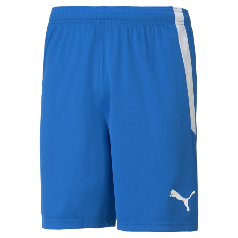 Shorts Puma Team Liga