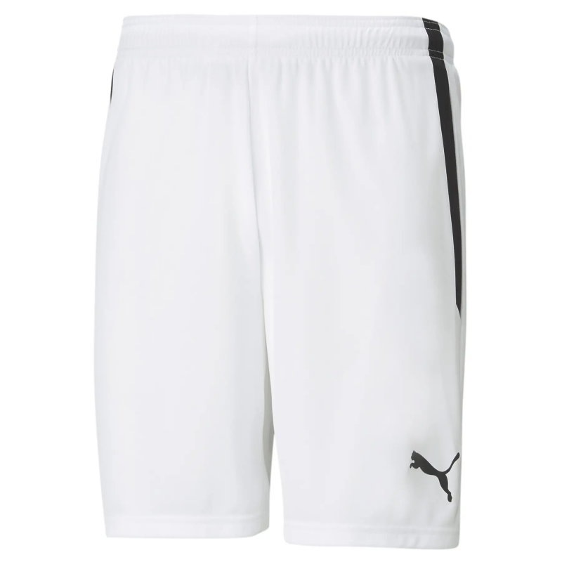Shorts Puma Team Liga