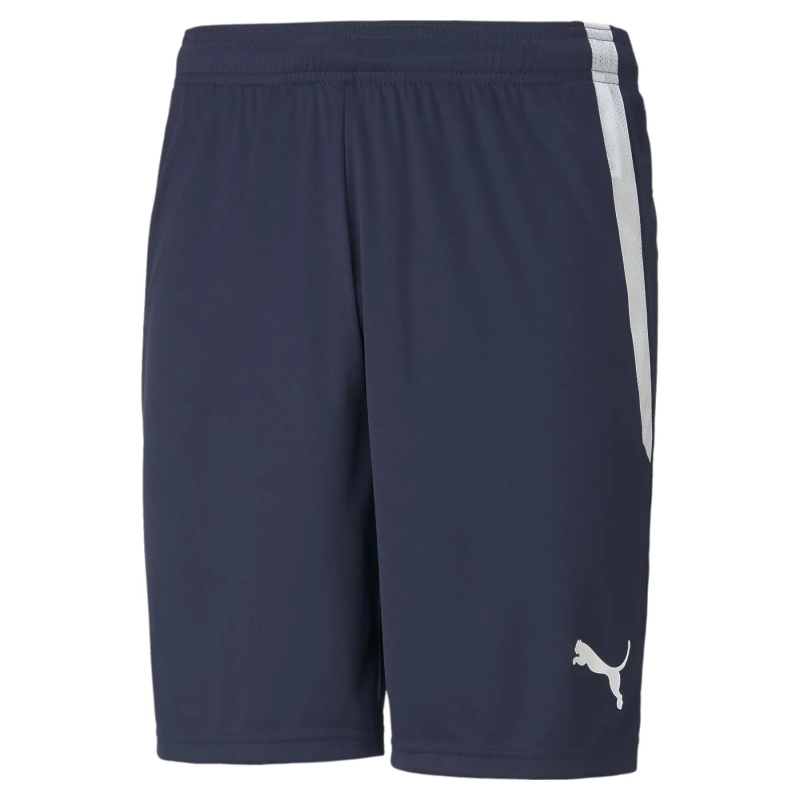 Shorts Puma Team Liga