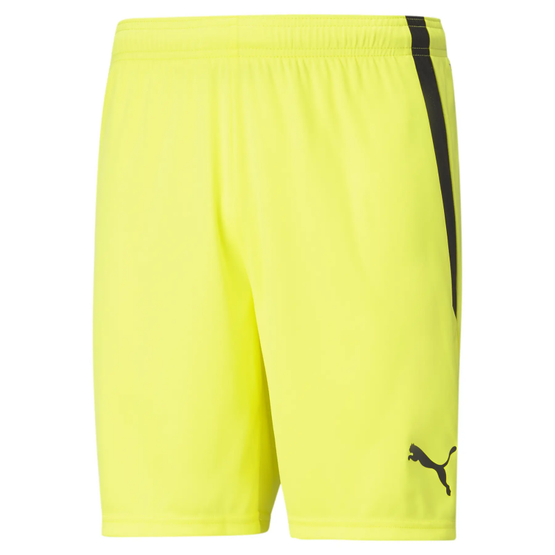 Shorts Puma teamLIGA