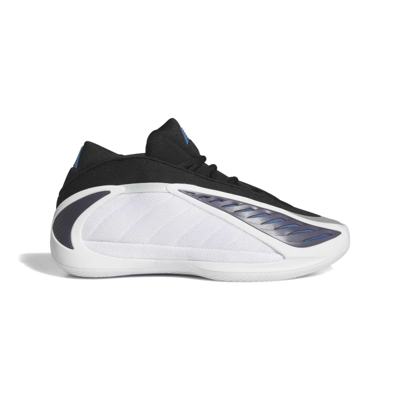 Basketballschuhe A.E. 2 Alphadawg