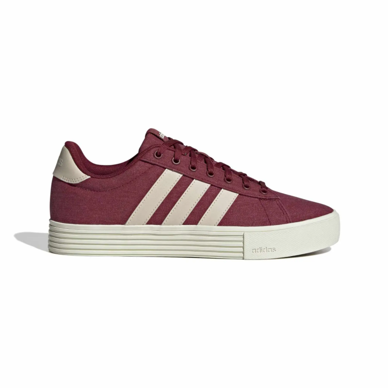 Baskets adidas Daily 4.0