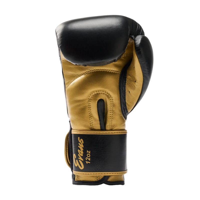 Boxhandschuhe Training Benlee Evans Meinke