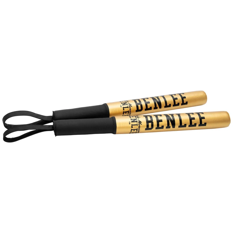 Trainingsmaterial Benlee Bastoni