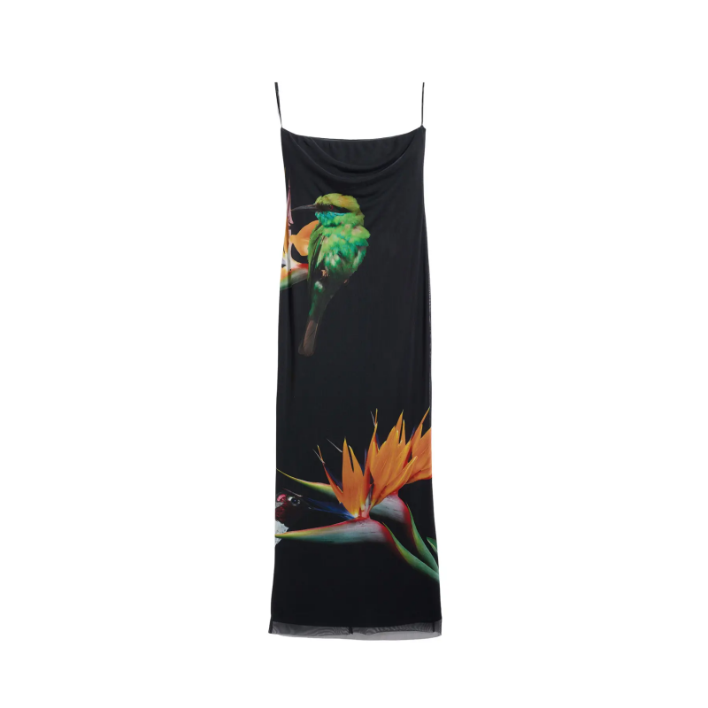 Kleid Damen Desigual Colibrî