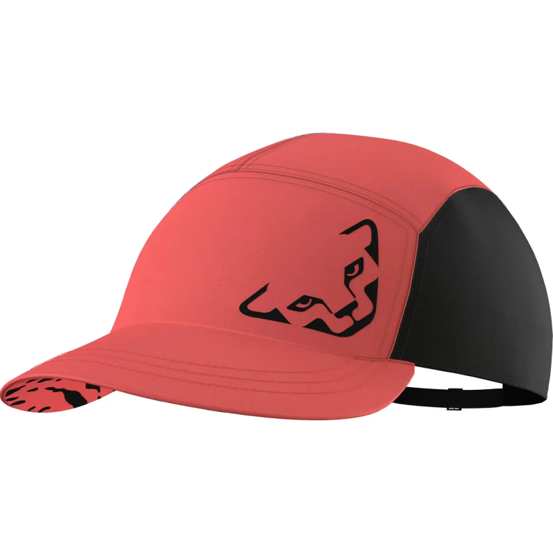 5-Panel-Cap Dynafit Alpine